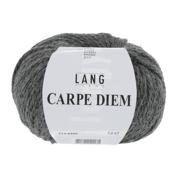 Lang Yarns - Carpe Diem - 0305