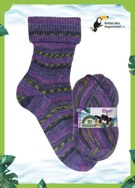 SCHULANA - OPLA - Regenwald 21 - 11611